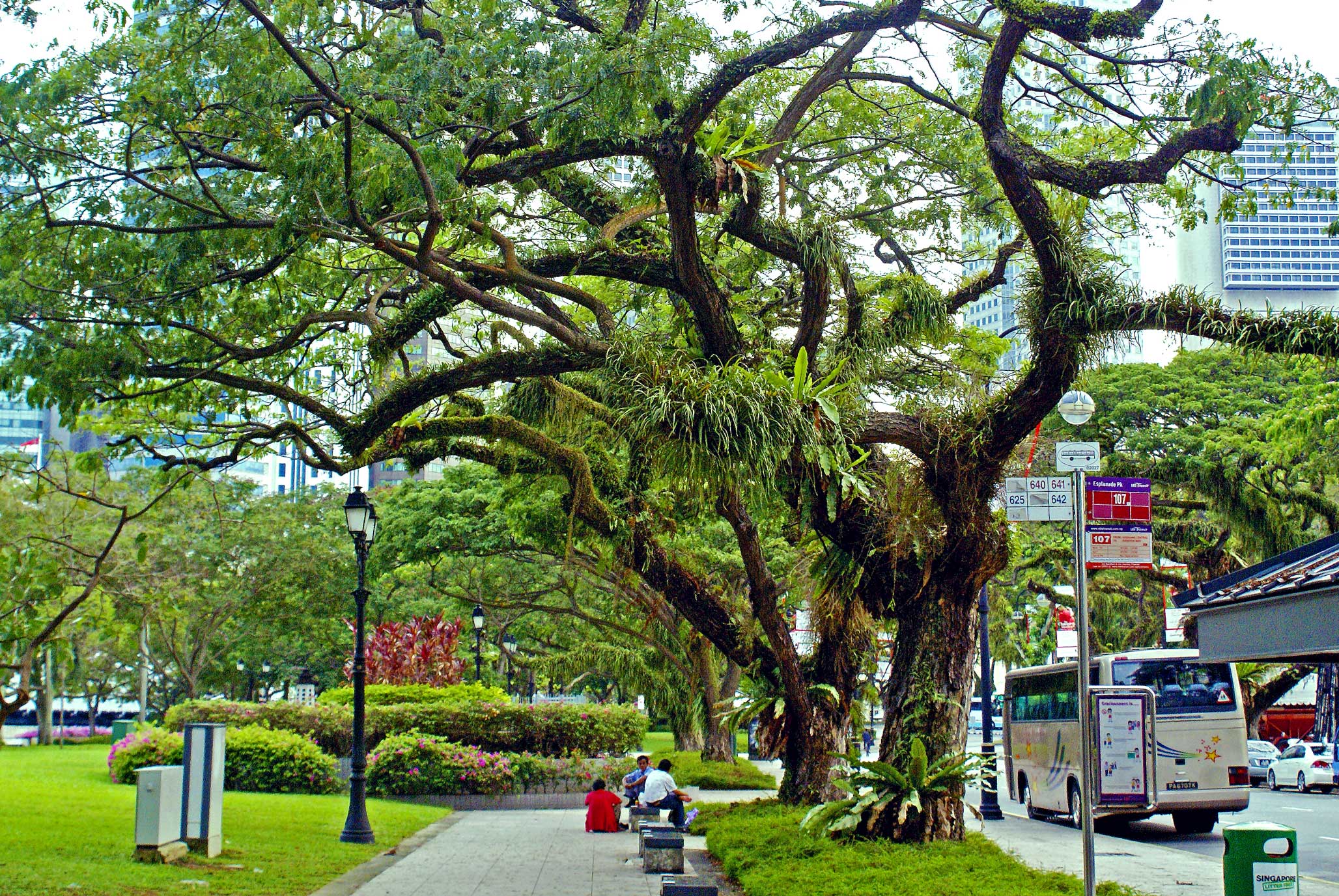Singapore, a seductive blend of society