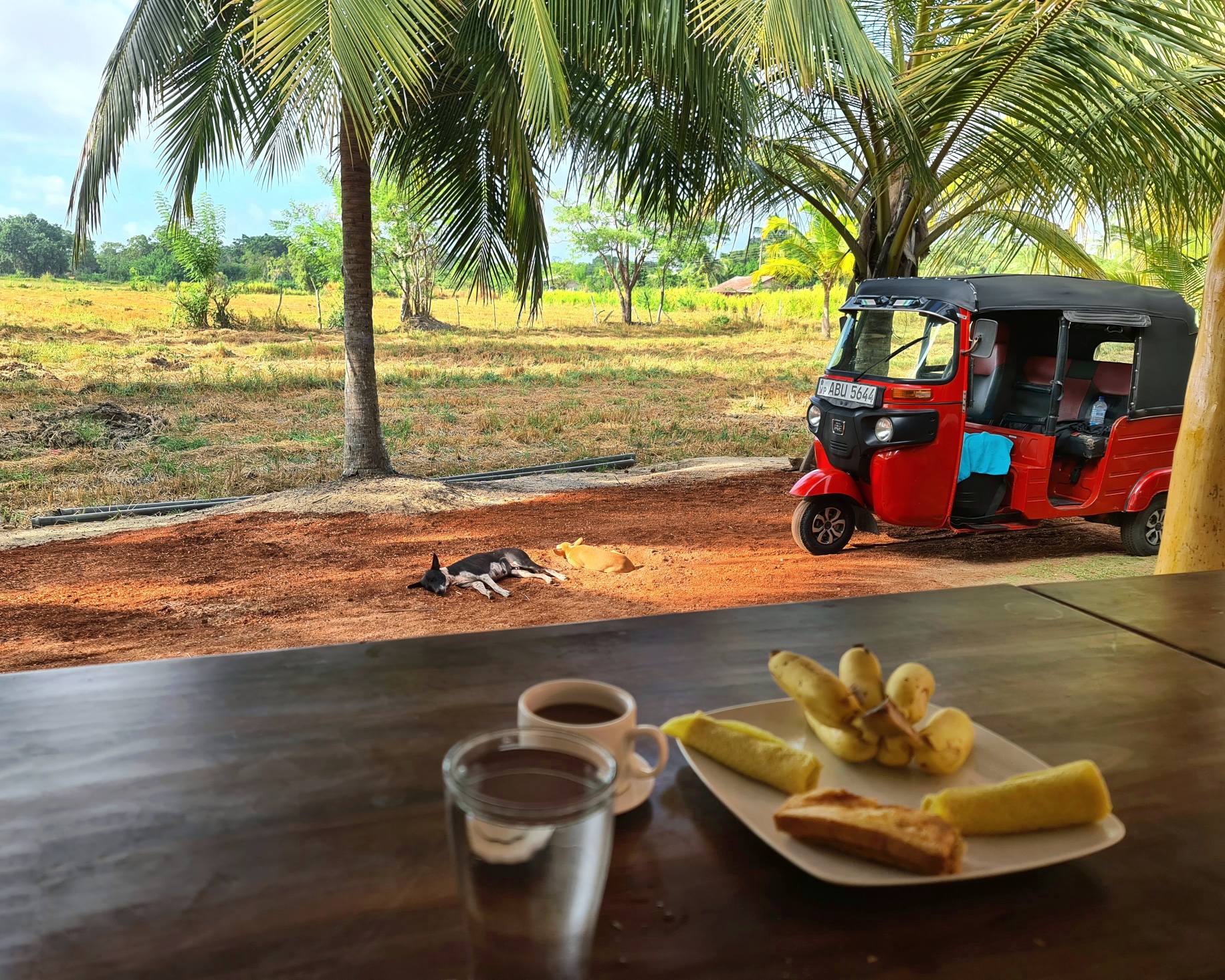 Discovering Sri Lanka - martie 2025