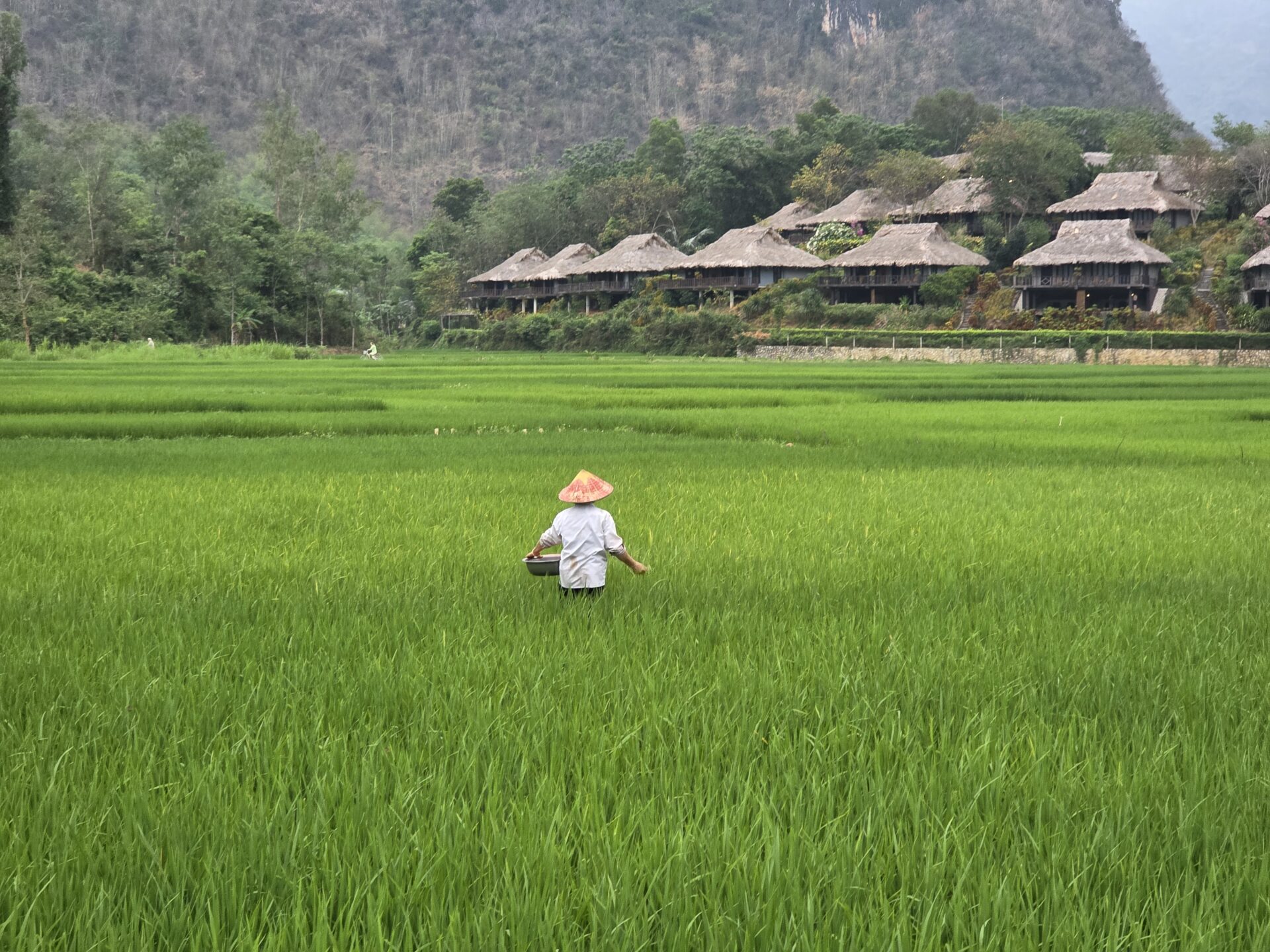 Classic Vietnam - Noiembrie 2026